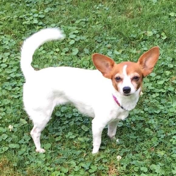 Meet your Posher, Stephanie - Picture 1 of 1